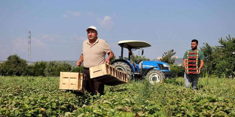 Tarımsal girdi endeksi Ağustos ayında da yükseldi