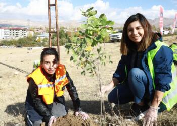 Kadın Ormanı Projesi: 500 meşe fidanı toprakla buluştu