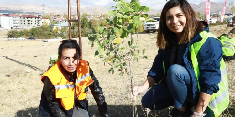 Kadın Ormanı Projesi: 500 meşe fidanı toprakla buluştu