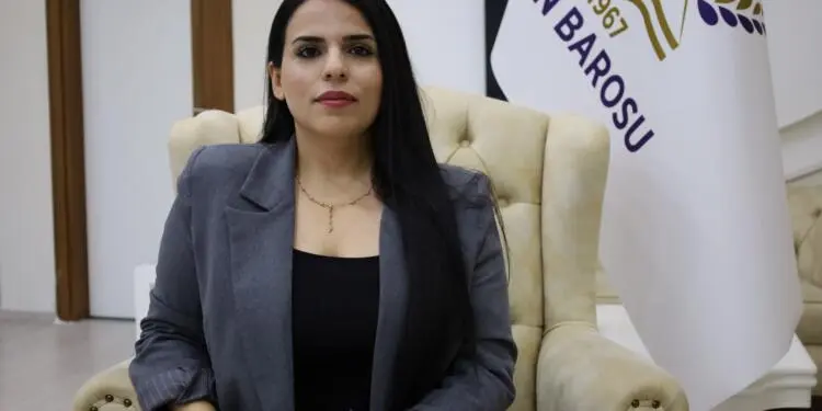 ‘Erkek şiddeti İstanbul’dan Wan’a farklılaşıyor’