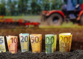 Yunanistan’da yolsuzluk: Olimpos Dağı’nda muz tarlası, askeri üste zeytinlik