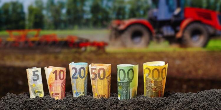 Yunanistan’da yolsuzluk: Olimpos Dağı’nda muz tarlası, askeri üste zeytinlik