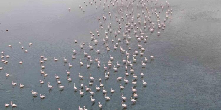 Meriç Nehri OSB’lere bağlanıyor