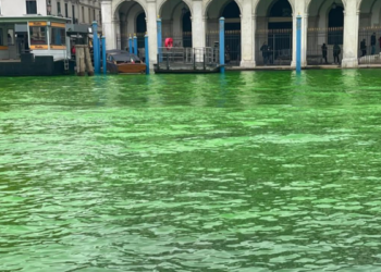 İklim aktivistleri Venedik’i yeşile boyadı