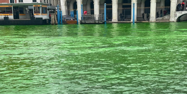 İklim aktivistleri Venedik’i yeşile boyadı