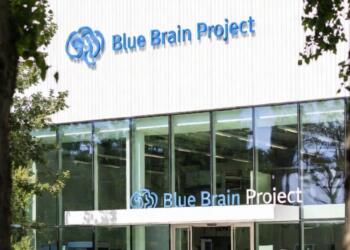 ‘Dijital beyin’ bilimde yeni bir çığır açarken etik çerçeveyi zorluyor