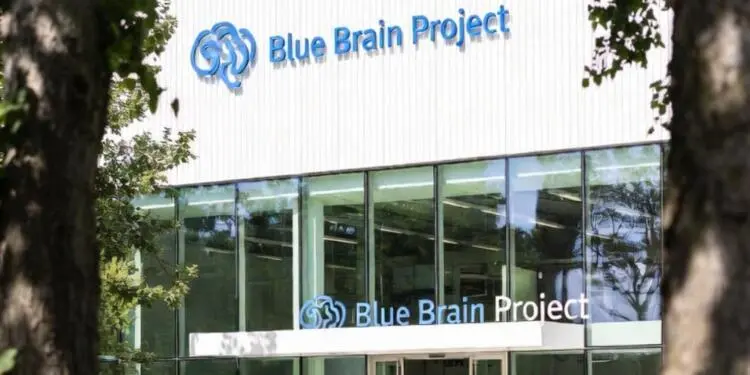 ‘Dijital beyin’ bilimde yeni bir çığır açarken etik çerçeveyi zorluyor