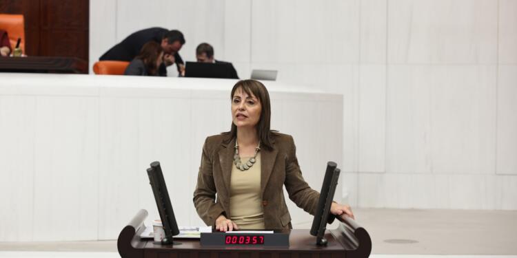 Kezban Konukçu: 2026 bütçesi yoksuldan alıp sermayeye veren bir yağma düzenidir