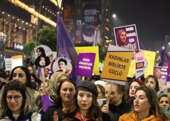 Wan’da kadınlar: Rojin için, katledilen ve kaybedilen her kadın için örgütleniyoruz