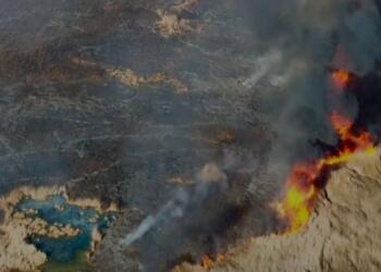 Wan’da birçok kuş türüne ev sahipliği yapan Çırak Sazlığı’nda yangın