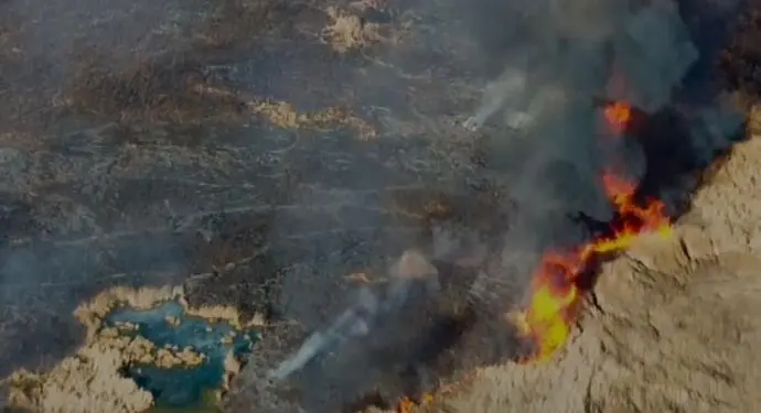 Wan’da birçok kuş türüne ev sahipliği yapan Çırak Sazlığı’nda yangın