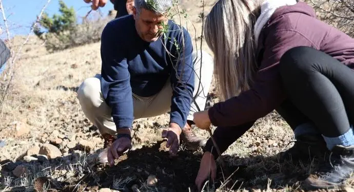 Dorşîn’deki ağaç kıyımına tepki