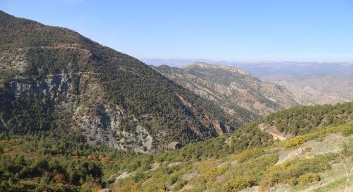 Cengiz Holding Eskişehir’e gözünü dikti: 57 bin ağaç kesecek