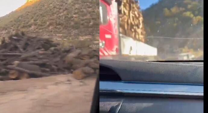 Valinin ağaç kesimi olmayacak iddiası görüntülerle yalanlandı