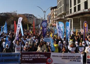 KESK’ten Wan’da bölge mitingi: Halk bütçesi istiyoruz