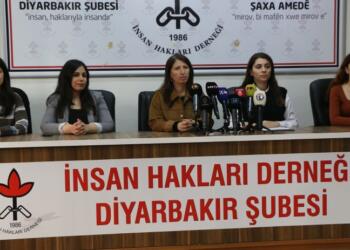 İHD Amed Şubesi: Ev içi şiddette en az 29 kadın katledildi