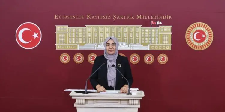 Şüpheli kadın ölümleri Meclis gündeminde