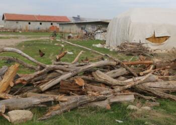 Biçer köyünden kadınlar: Doğalgaz yok, kömür pahalı