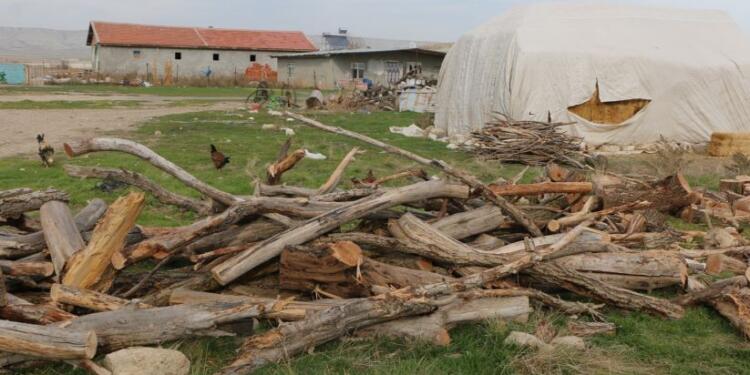 Biçer köyünden kadınlar: Doğalgaz yok, kömür pahalı