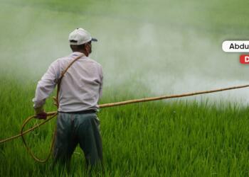 Yediklerimiz şifamız olsun