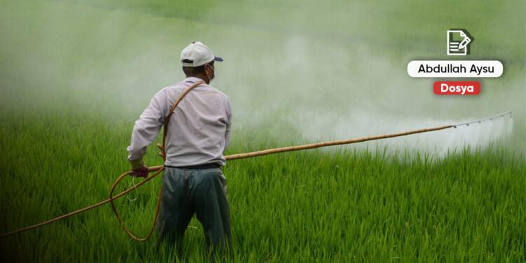 Yediklerimiz şifamız olsun