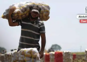 2026 tarım bütçesi: Çiftçiyi değil faizi besleyen bütçe