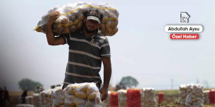 2026 tarım bütçesi: Çiftçiyi değil faizi besleyen bütçe