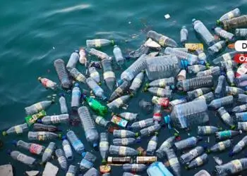 Plastik gezegeninde tüketim artıyor, doğa boğuluyor