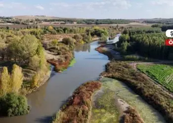Valiliğin sessizliği talanın önünü açıyor
