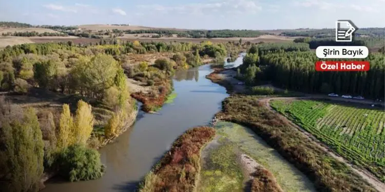 Valiliğin sessizliği talanın önünü açıyor