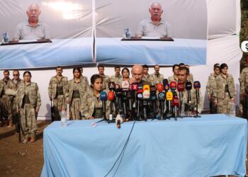 Yeniden entegrasyon süreci: Öneriler, modeller – II