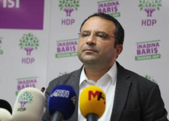 Tayyip Temel: Öcalan, görüşlerini aracı olmadan Meclis’e yansıtacak