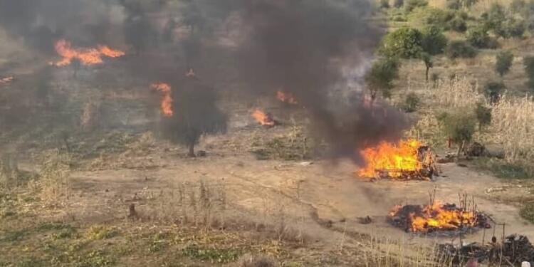 Nijerya’da DAİŞ ve Boko Haram çatışması: 200 ölü