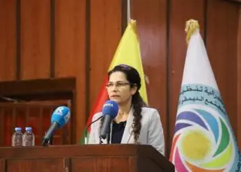 İlham Ehmed: Demokratik ve özgür bir toplumu örgütleyeceğiz