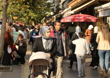 Amedlilerden CHP tepkisi: Kürtlerin iradesini tanımamadır