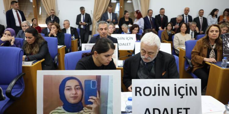Meclis’te İstanbul Sözleşmesi tartışması: Katledilen kadınların fotoğrafları ile iktidara yanıt