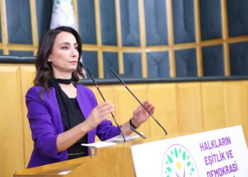 Hatimoğulları: İmralı görüşme tutanakları açıklanmalı