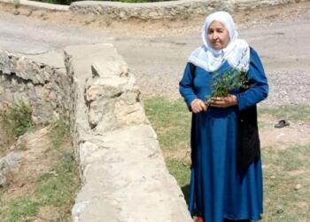 Barış Annesi Türkan Çelik yaşamını yitirdi