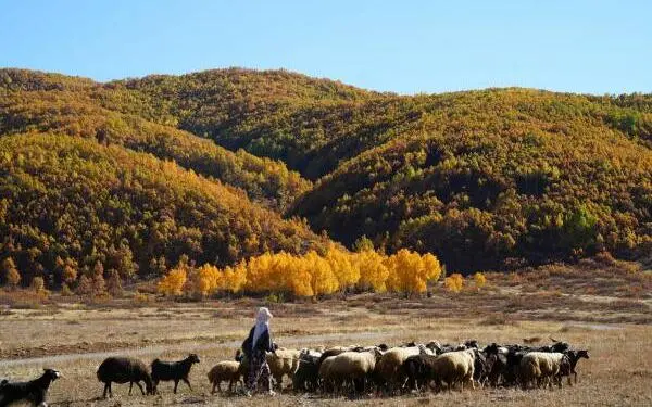 Fotoğraflarla Dêrsim’de güz zamanı