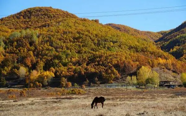 Fotoğraflarla Dêrsim’de güz zamanı