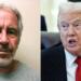 Epstein’in kardeşinden iddia: Trump ile çok iyi arkadaştı