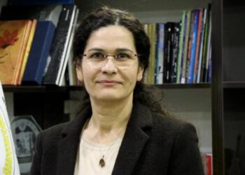 Îlham Ehmed: Çözüm konusunda bir anlaşmaya varmaya kararlıyız