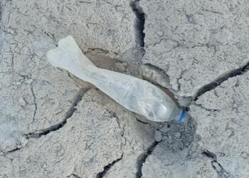 Kirmanşah’daki Nilüfer Göleti tamamen kurudu!