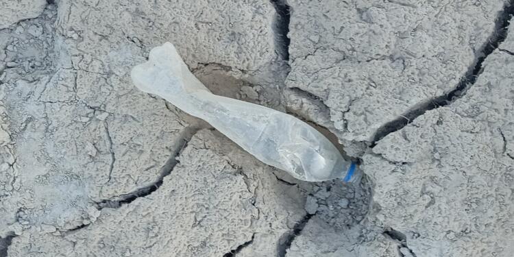 Kirmanşah’daki Nilüfer Göleti tamamen kurudu!