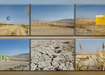 Kuş Cenneti Kani Barzan kurudu: Binlerce tür tehdit altında