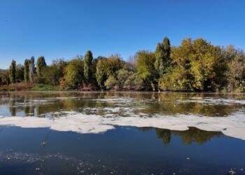 AVKAMED tesisinden Dicle’ye zehir akıyor
