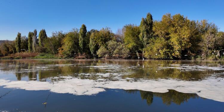 AVKAMED tesisinden Dicle’ye zehir akıyor