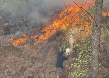 Muğla’da orman yangını: Müdahale sürüyor