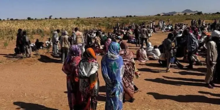 El Faşer’de 2 günde 300 kadın katledildi