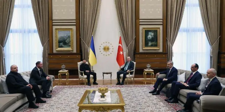 Erdoğan, Zelenski ile görüştü